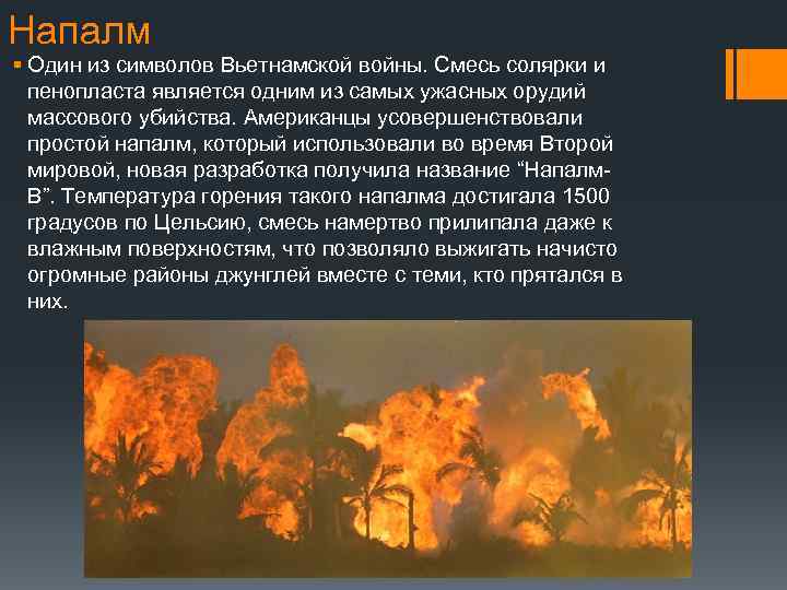 image-5.jpg