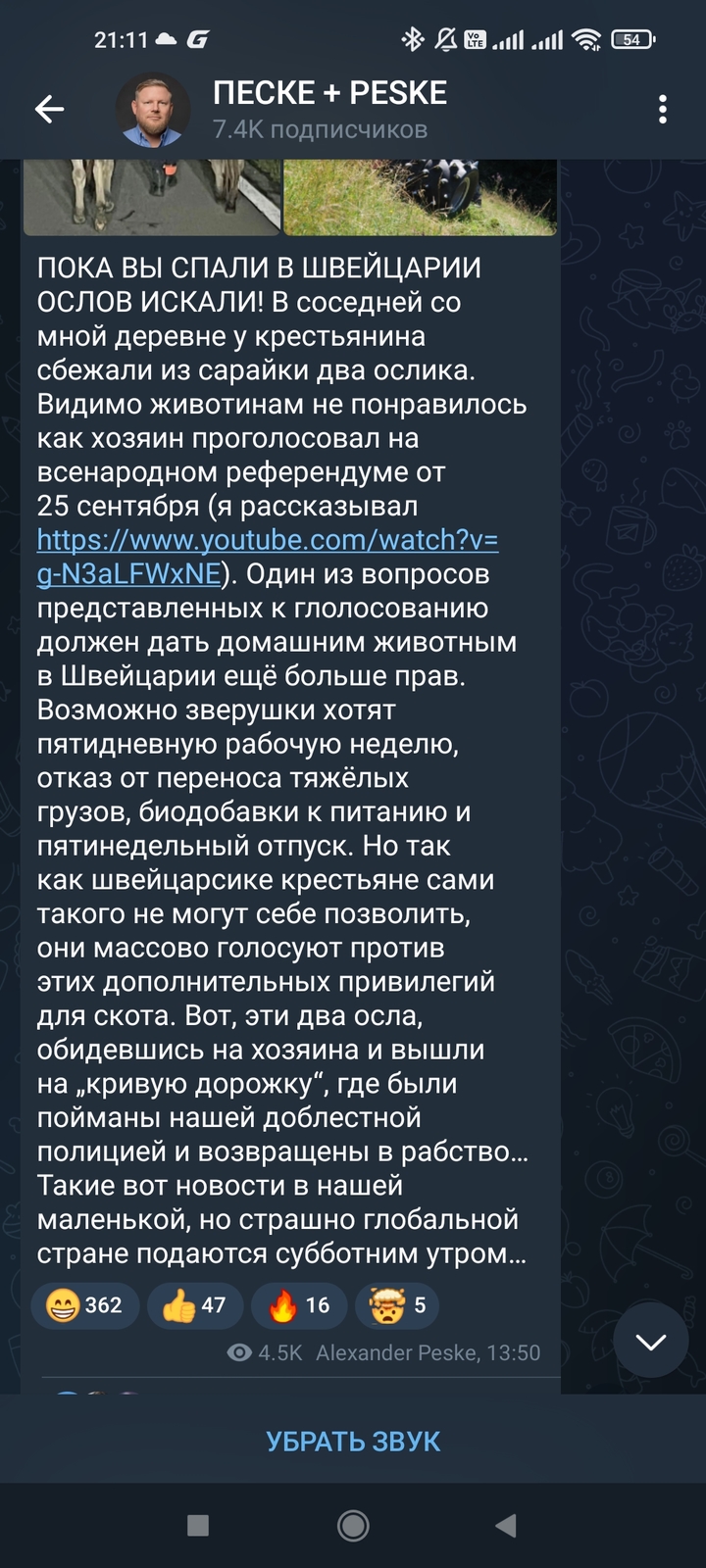 Screenshot_2022-09-04-21-11-35-165_org.telegram.messenger.jpg