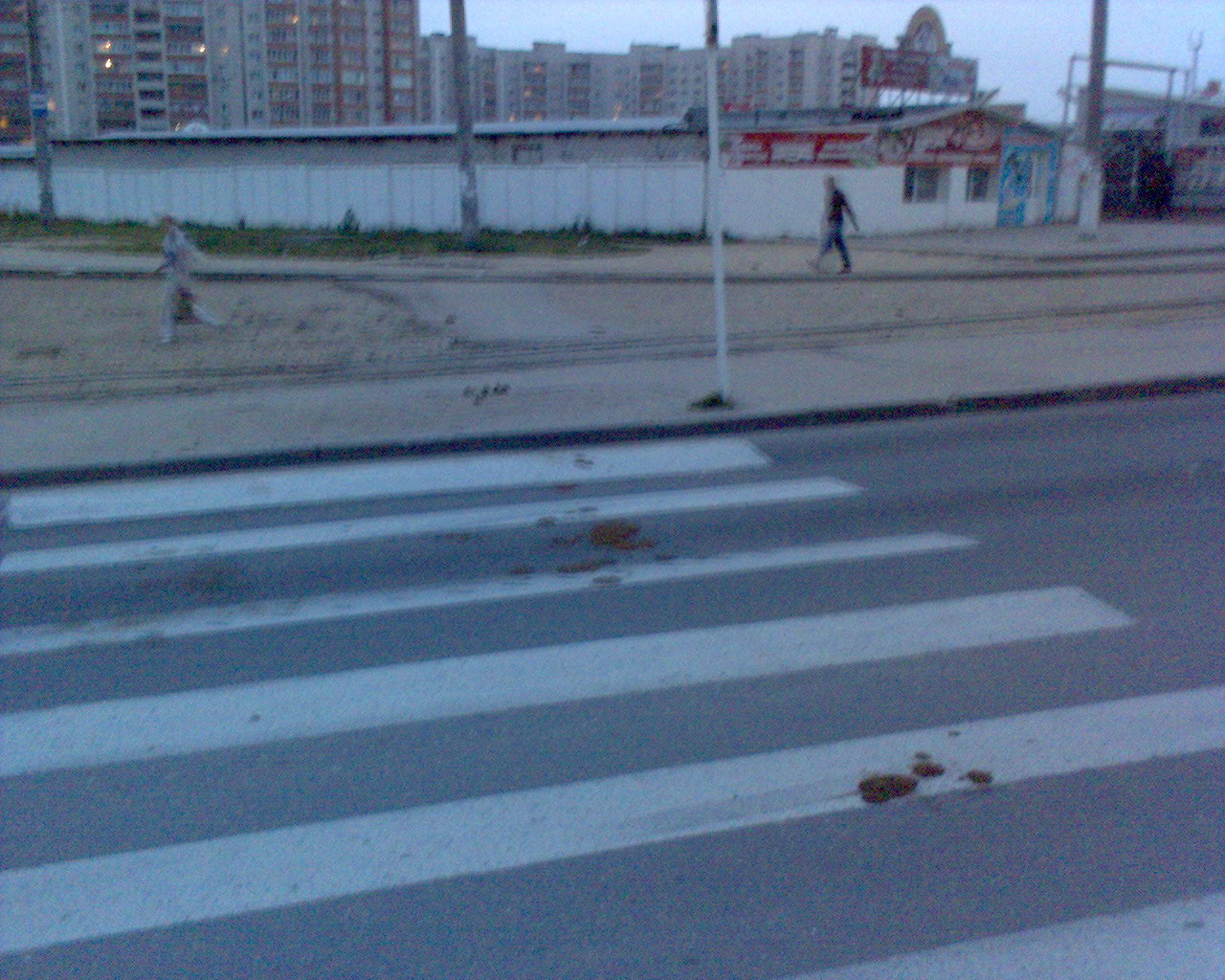DSC00225.jpg
