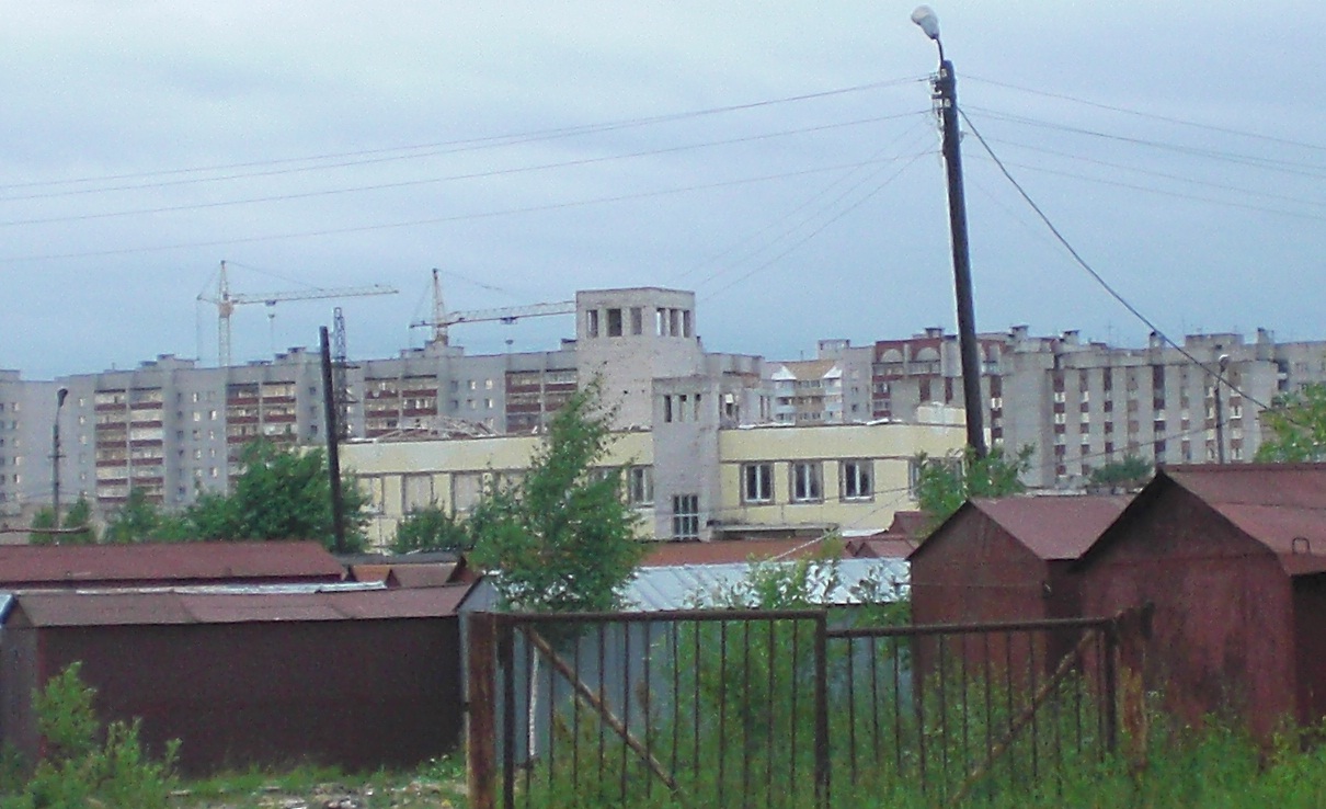 444.jpg