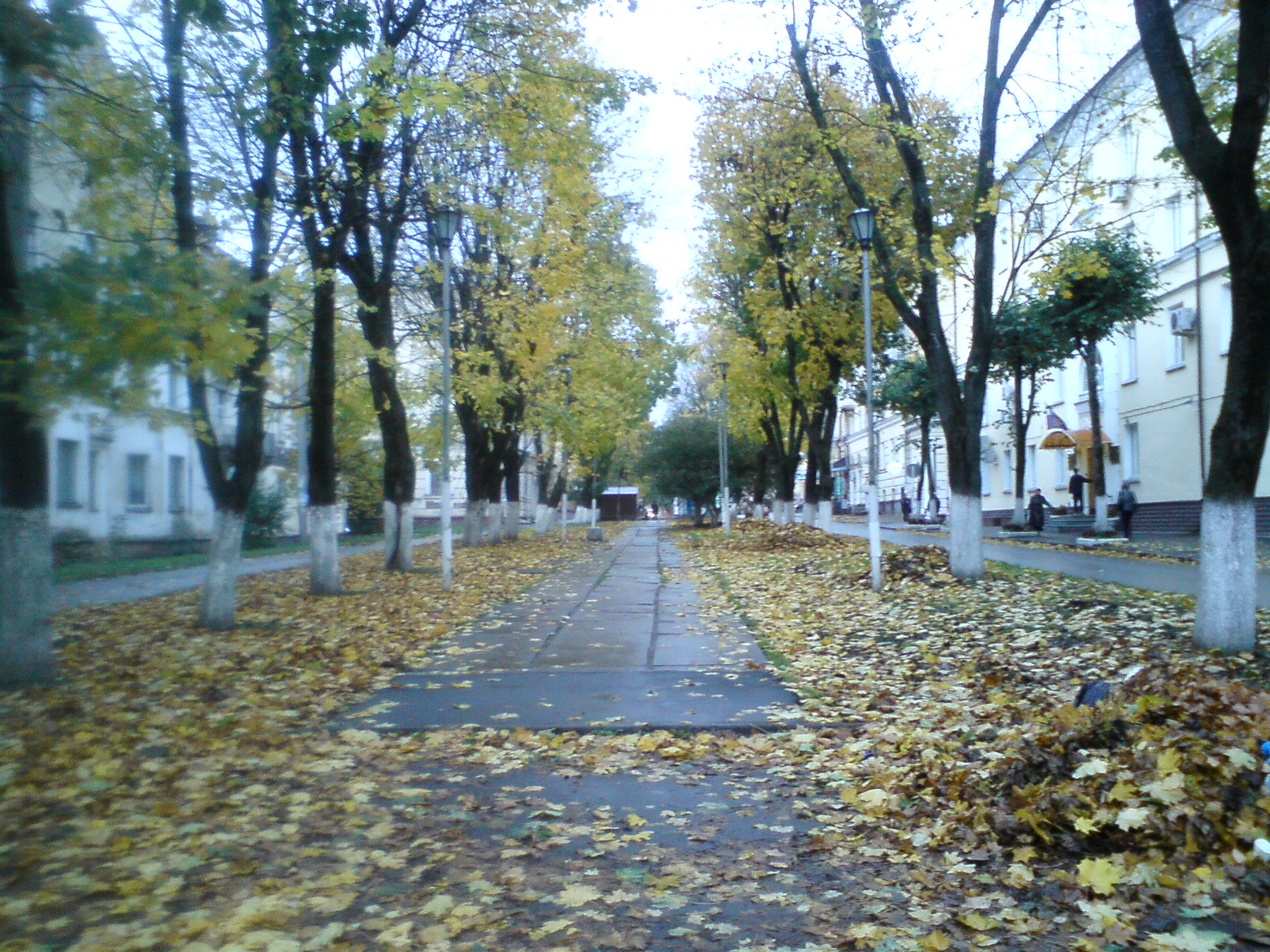 2012.10.11 Dokuchaeva.JPG