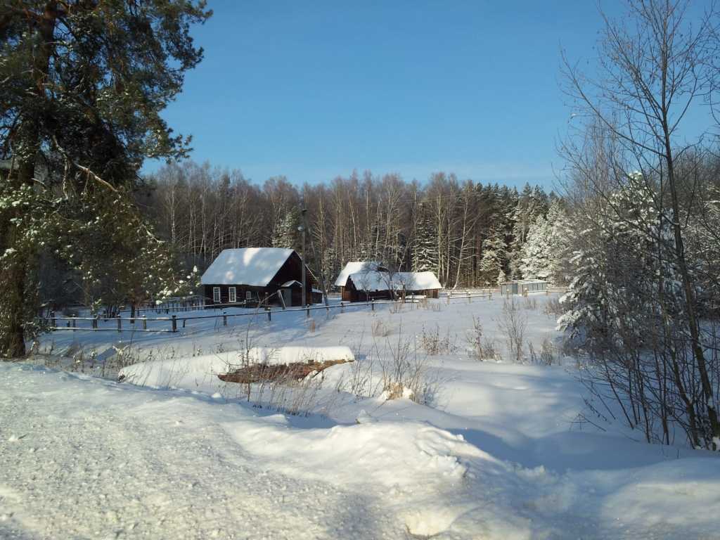 Izbyshka in the forest.jpg