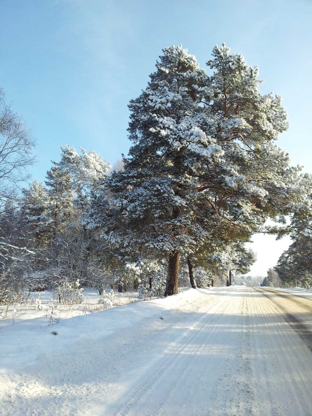 Old Smolensk Road.jpg