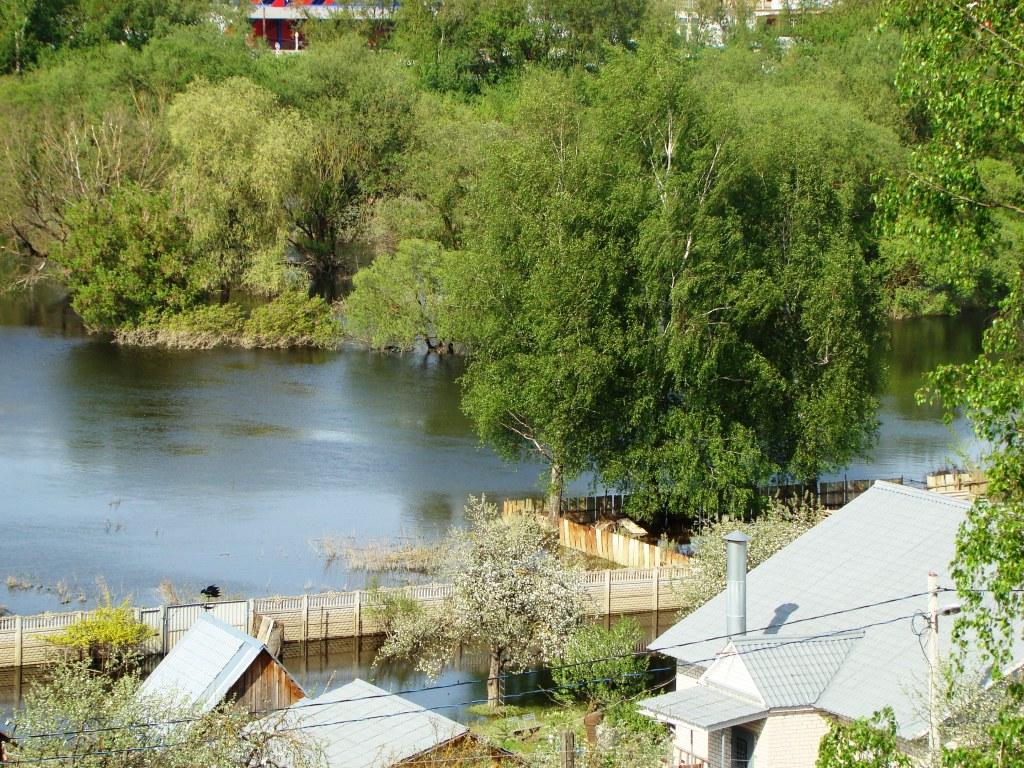 Яблонька в воде...какое чудо!