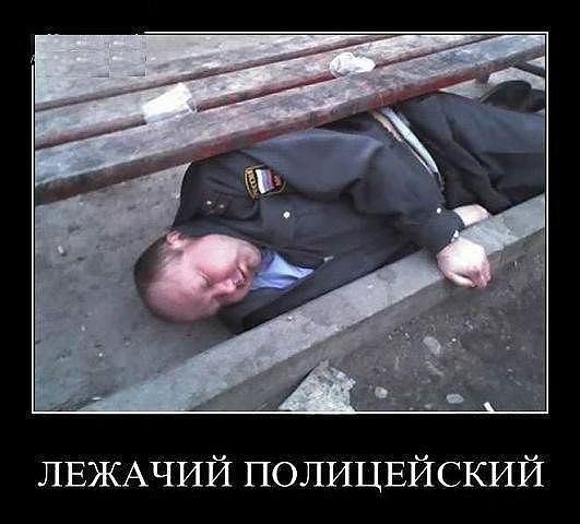 Лежачий полицай.jpg