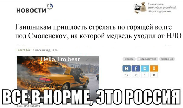 роися-медведь-песочница-983867.png