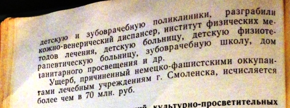 1DSC01243 (1) - копия.JPG