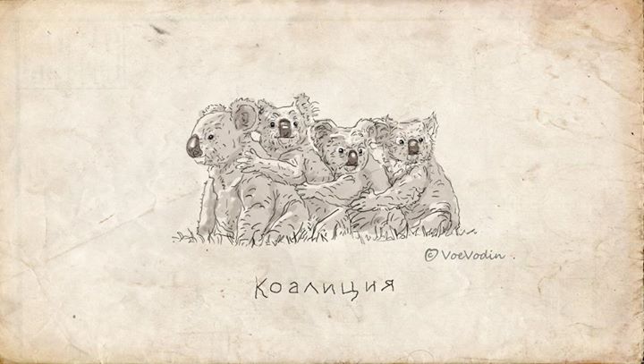 коалиция.jpg