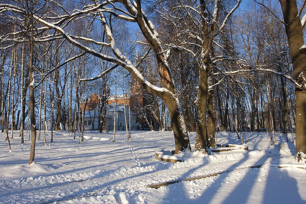 Фотография Виктора Минченко