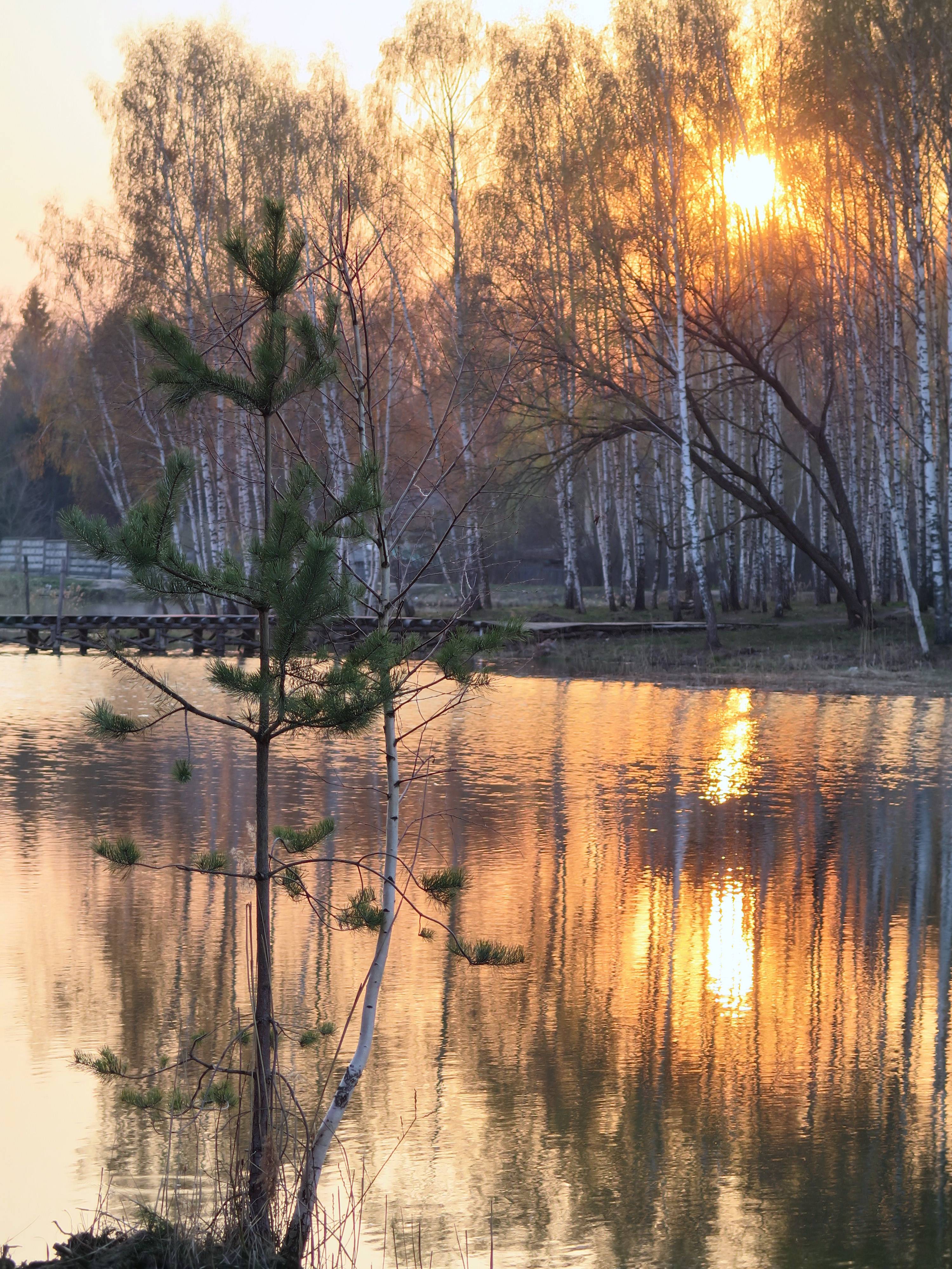 Ключевое 20.04_2.jpg