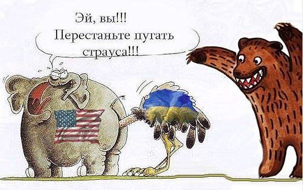 Не пугайте страуса.jpg