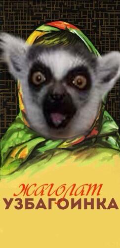 Uzbagoitelnyy-lemur.jpg