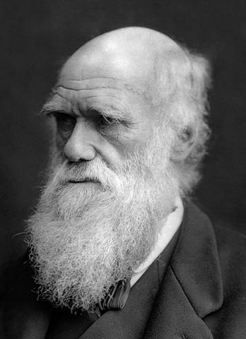 Darwin_01.jpg