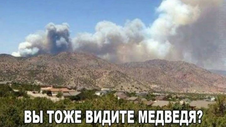 Вы видите медведя.jpg