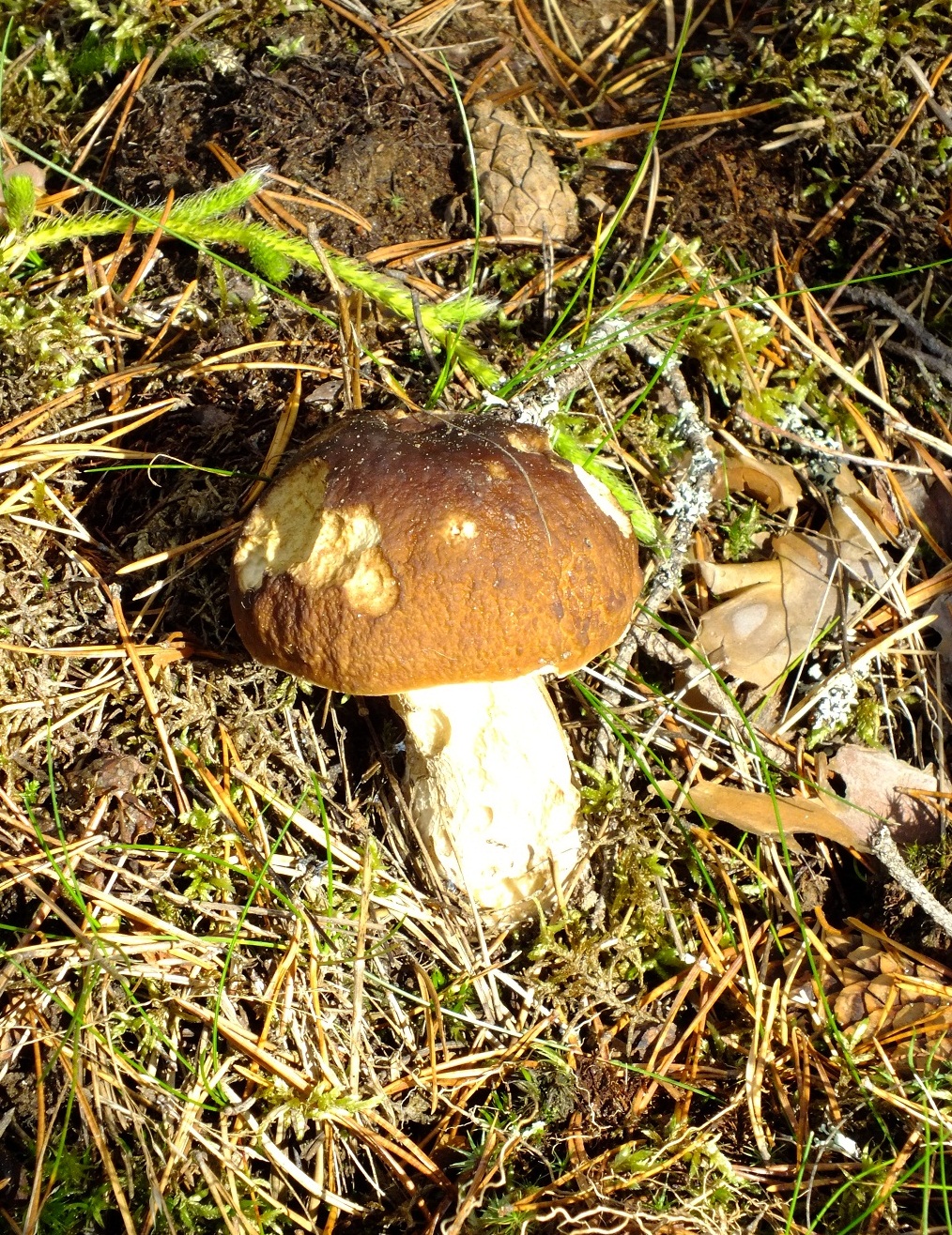 DSCF1321.JPG