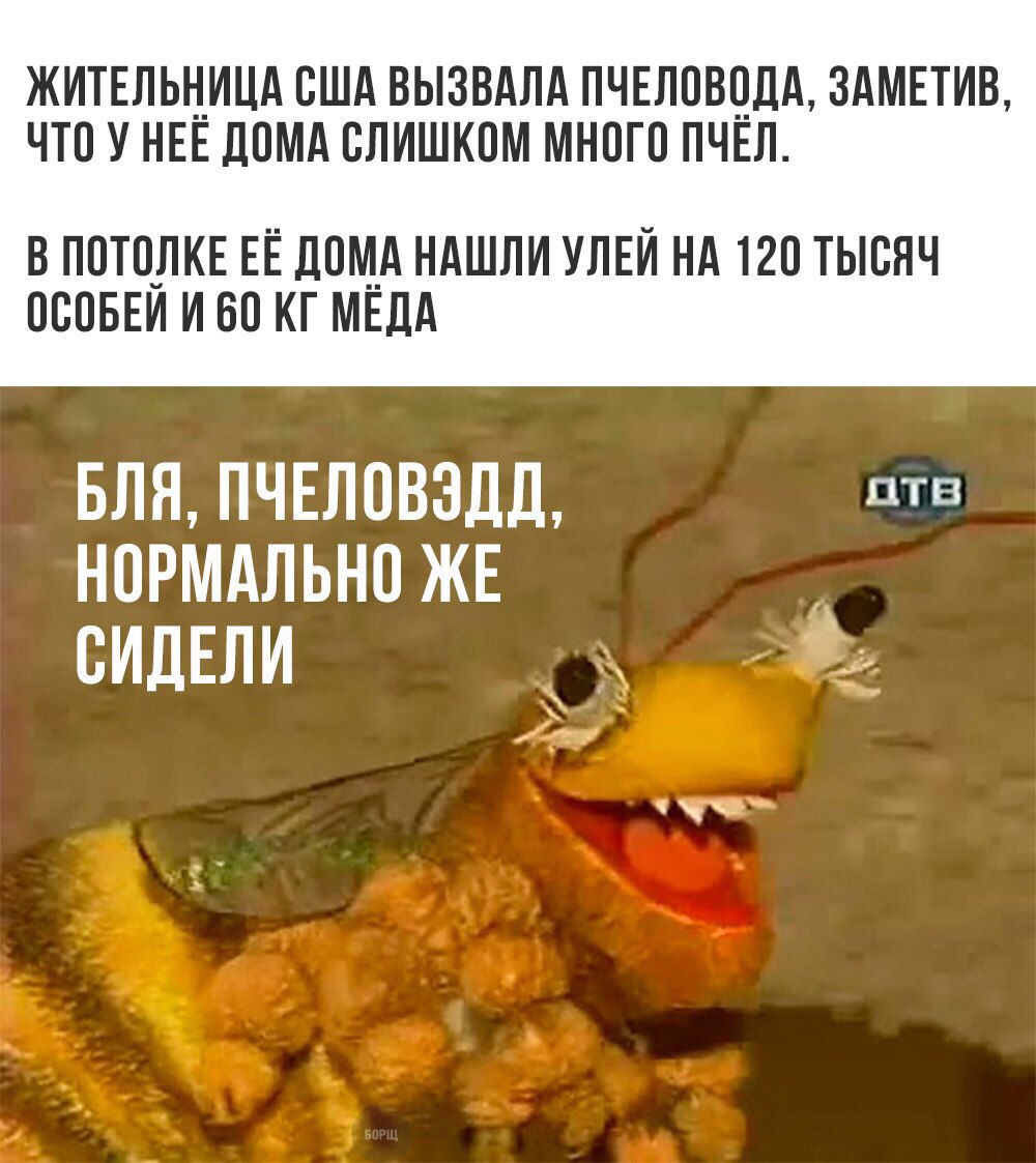 пчеловод.jpg